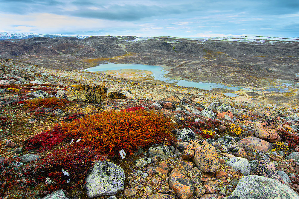 Charcot Havn - Nationalpark Grönland