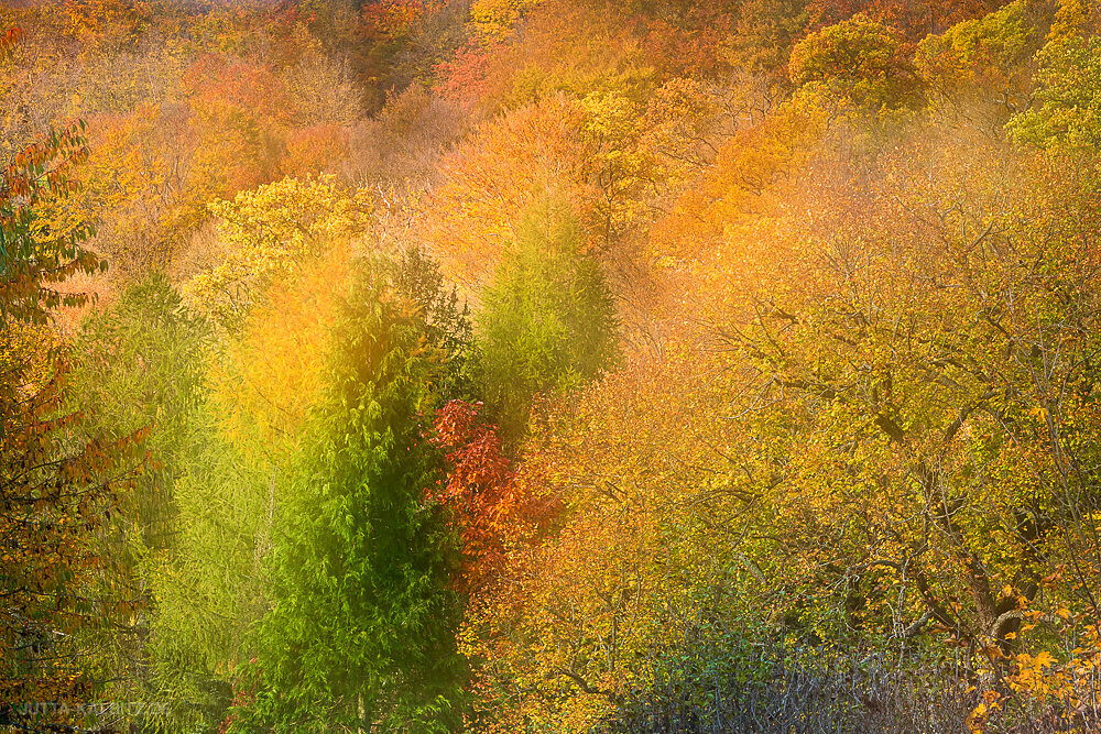 Herbst im Selketal (II) (kamerainterne Doppelbelichtung)