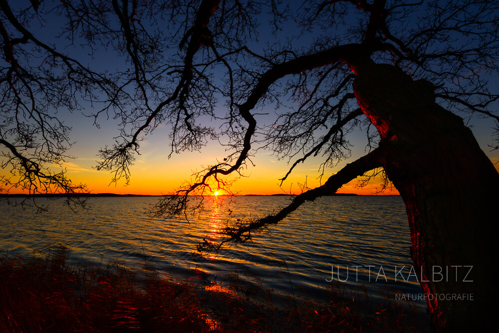 2020 - Lichtblicke?!