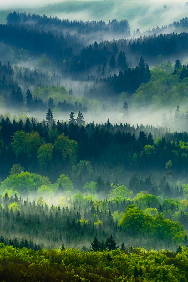 Nach dem Frühlingsgewitter - Rhön