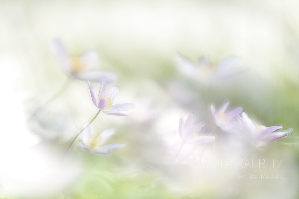 Fotoaustellung im UKH