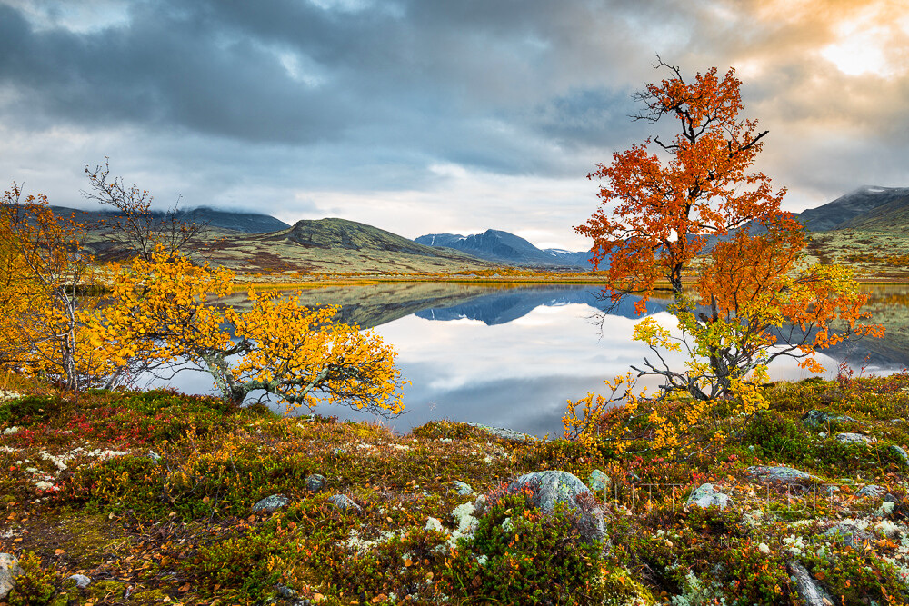Skandinavischer Herbst I - Im Rondane