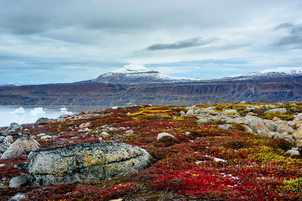 Die Farben der Tundra