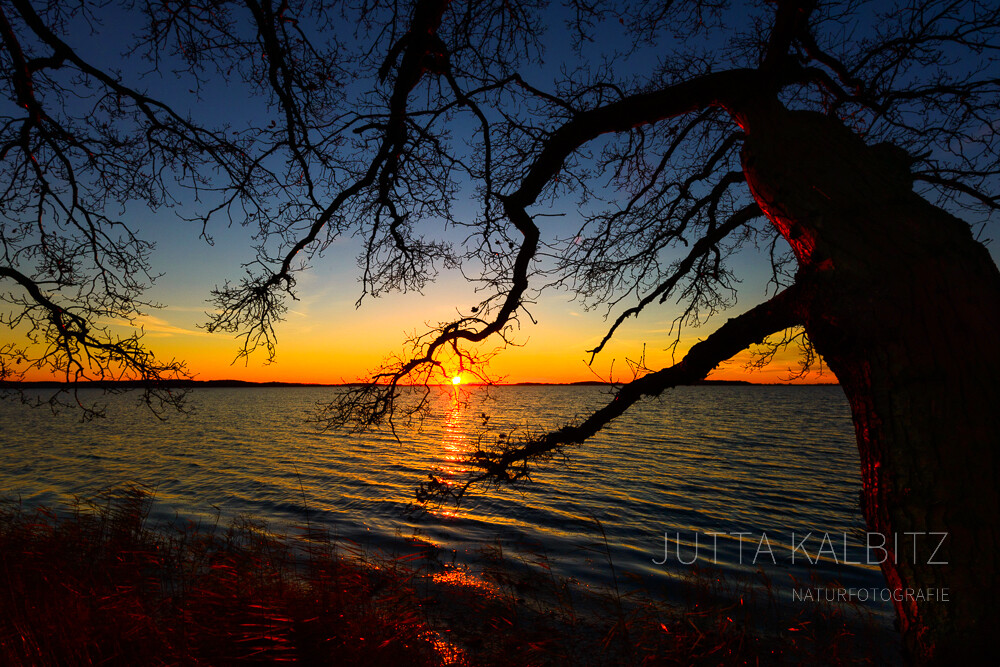 Dezemberabend - Jasmunder Bodden