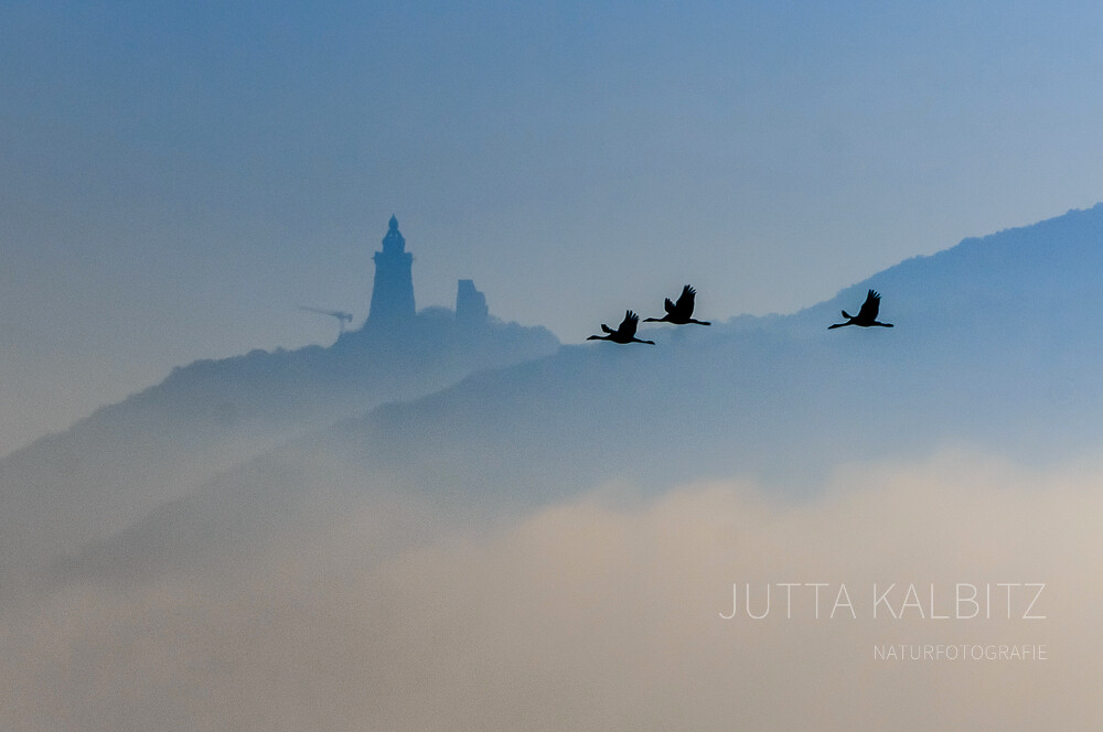 Natur trifft Geschichte