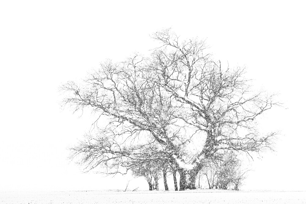 Winter vor der Haustür