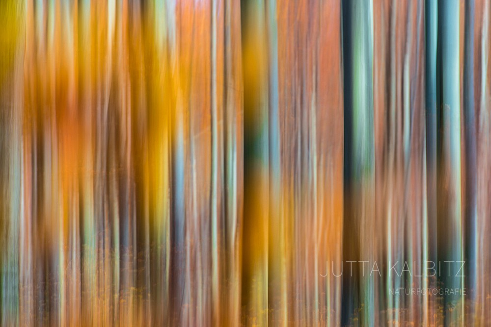 Herbstwald (Wischtechnik)
