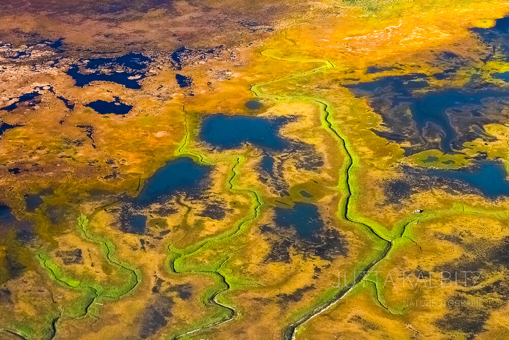 Wetlands bei Anchorage (aerial)