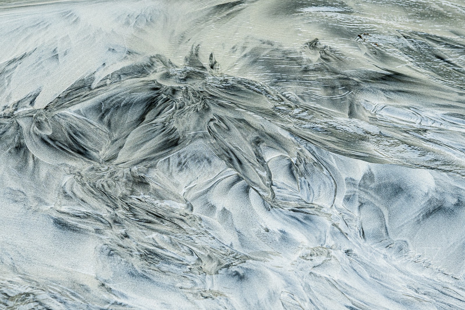 Detail-Reich 