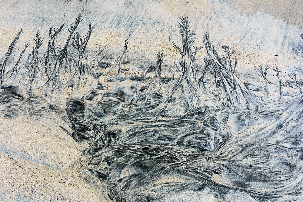 Spuren im Sand