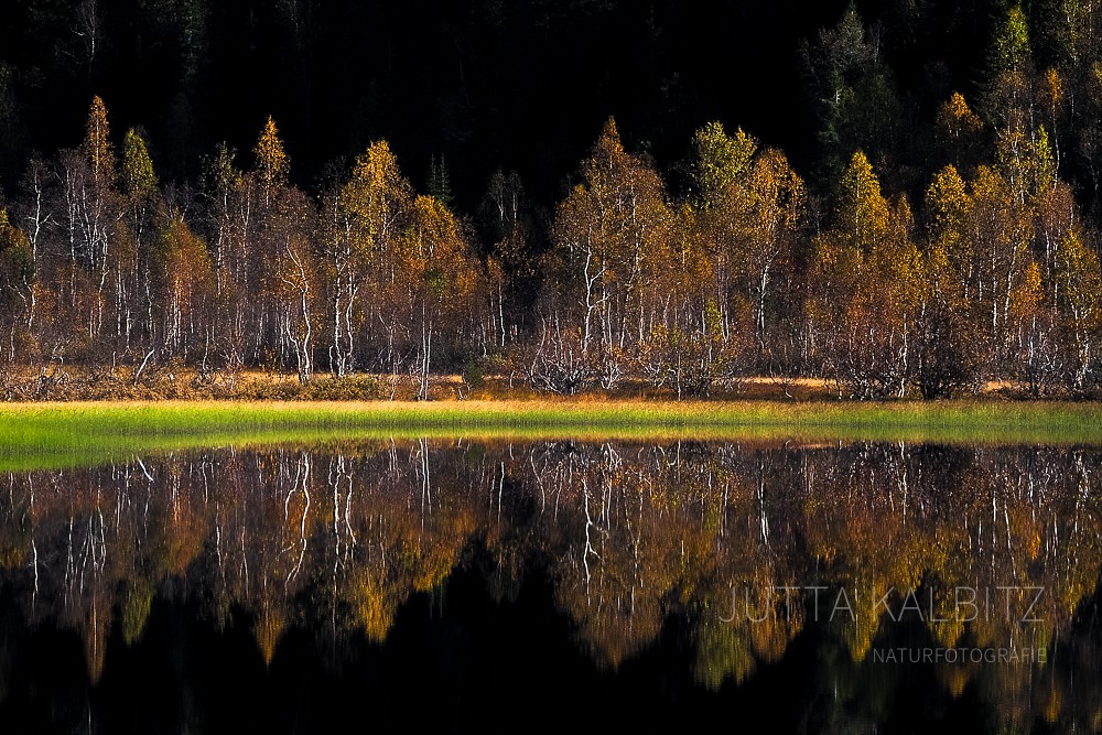 Herbst am See