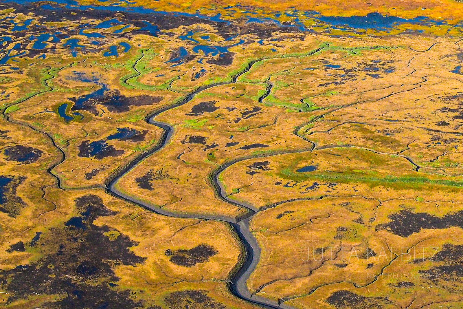 Alaska