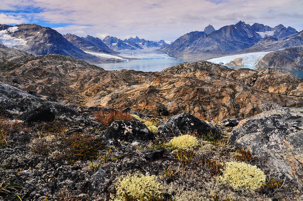 Arktischer Sommer - Karale Gletscher - Ostgrönland