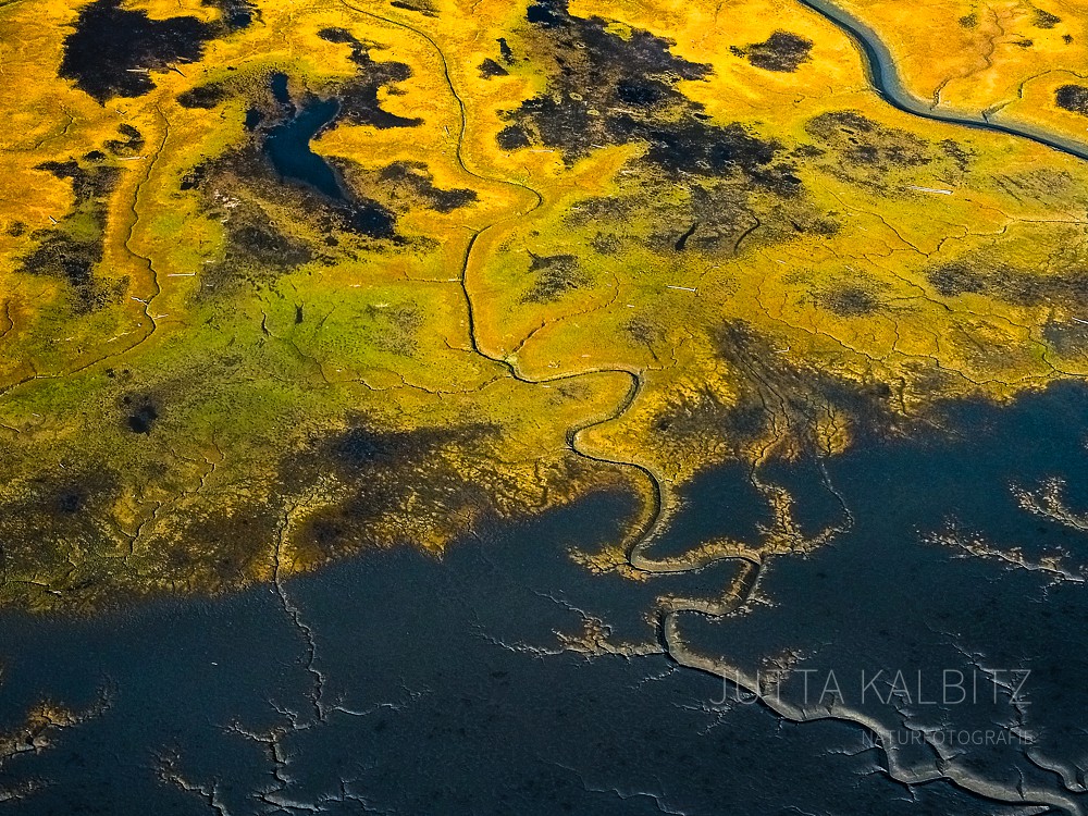 Alaska