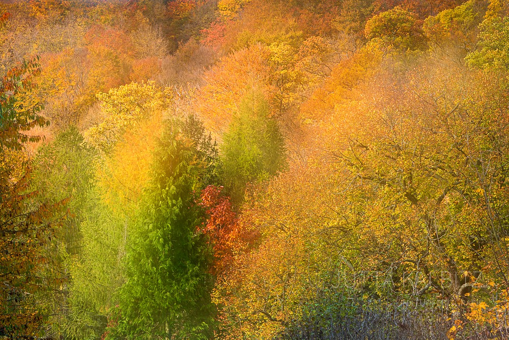 Herbst im Selketal (II) (kamerainterne Doppelbelichtung)
