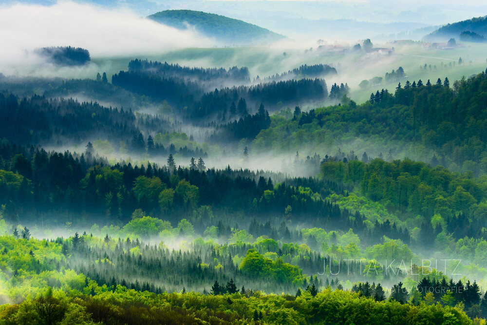 Nach dem Frühlingsgewitter - Rhön
