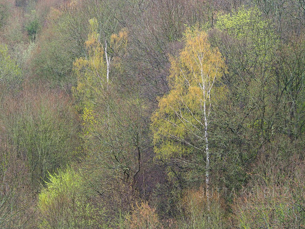 Frühlingsbeginn - Saaletal