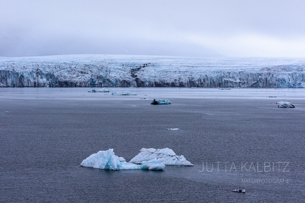 Svalbard - Die kalte Küste (II) - Eisströme